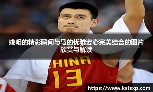 姚明的精彩瞬间与马的优雅姿态完美结合的图片欣赏与解读